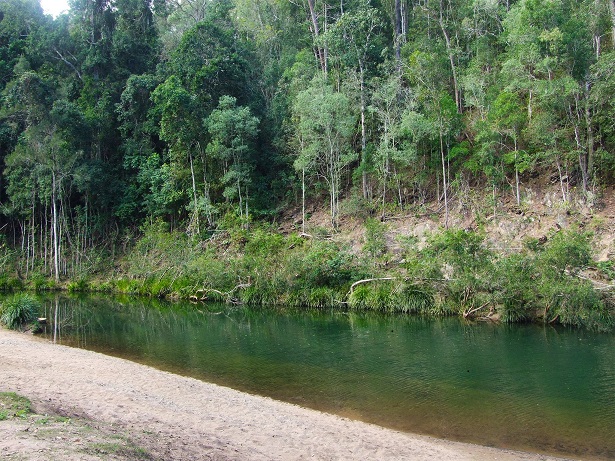 Bush Camping Mystery Weekend