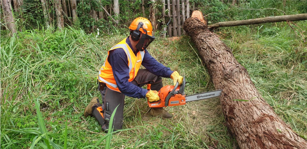 QLD 4x4 Club Chainsaw Operation Training