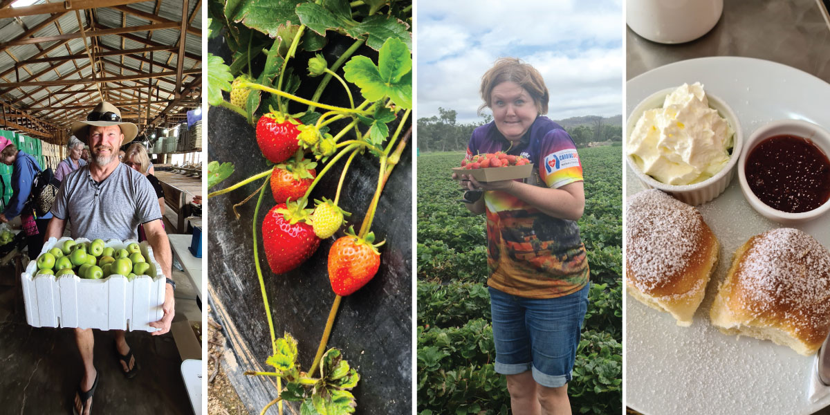 Stanthorpe - Apples & Strawberries