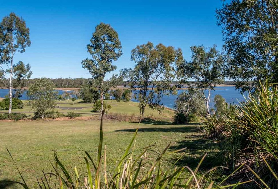 Wongi State Forest, Duckinwilla, Fraser Coast, Queensland, 4650