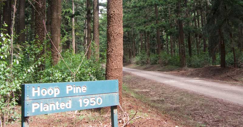 Bunya Mountains & Surroundings